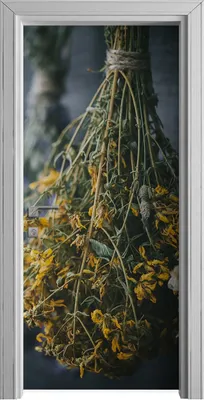 Produktbild von Tür Selbstklebende 90x210 cm Türfolie Türtapete Klebefolie - Hängende Kräuter Herbs