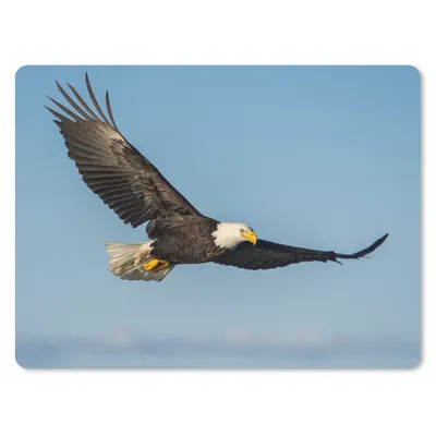 Produktbild von MuchoWow® Mauspad Mousepad Vogel - Adler - Raubvögel 23x19 cm - Mousepads - Maus Mat - Pad - Mausunterlage - Schreibtischunterlage - Mauspad