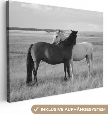 Produktbild von MuchoWow® - Leinwandbilder - Pferde - Tiere - Porträt - Schwarz-Weiß - Landleben, Wandbild, Wanddeko Bilder Wohnzimmer, 80x60 cm