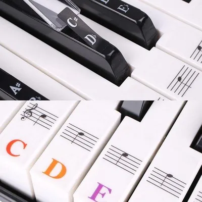 Produktbild von Tastaturaufkleber für Kinder und Anfänger - Transparent und Abnehmbar für 37/49/61/88 Tasten
