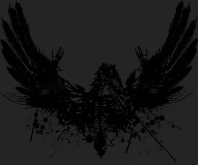 Immagine prodotto di Amenra: Messa II