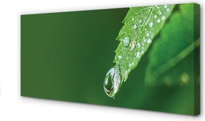 Produktbild von Leinwandbild 140x70 Wandkunst Wassertropfenblatt