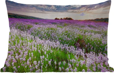 Produktbild von MuchoWow® Outdoor Kissen - Blumen - Lavendel - Lila - Himmel - Sonnenuntergang - Wiese - Natur - 50x30 cm - Wetterfest - Lounge Kissen - Sofa kissen - Wohnzimmer Dekoration