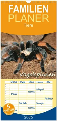 Produktbild von Familienplaner 2026 - Vogelspinnen mit 5 Spalten (Wandkalender, 21 x 45 cm) CALVENDO