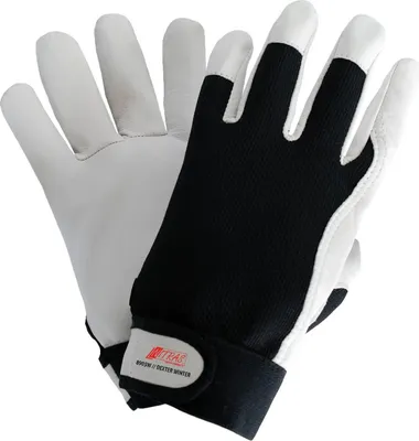 Produktbild von Arbeitshandschuhe | Nitras Dexter Winter Winterhandschuhe | 60 Paar | Gr. 7 - 12