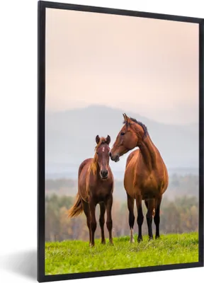 Produktbild von MuchoWow® MuchoWow® Gerahmtes Poster Pferd - Fohlen - Gras - Pastell 40x60 cm - Poster mit zchwarzem Bilderrahmen - Papierdruck - Wandbilder