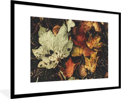 Produktbild von MuchoWow® Gerahmtes Poster Herbstblätter - Herbst - Jahreszeiten - Natur 90x60 cm - Poster mit Schwarzem Bilderrahmen Wandposter Rahmen Foto Bilder - Wanddekoration - Fotos