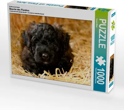 Produktbild von Calvendo Ein Motiv aus dem Kalender Bouvier des Flandres 1000 Teile Puzzle quer 640x480mm, Milau Susan; 7337505