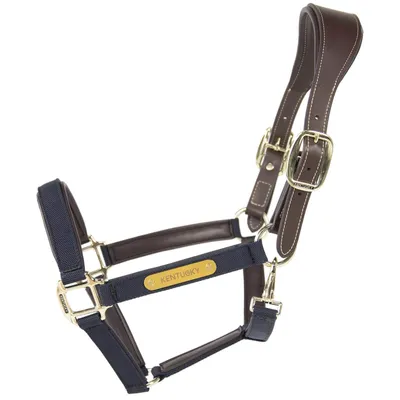 Image de Kentucky Horsewear licol anatomique en nylon