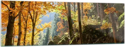 Produktbild von Bilder auf glas - Herbst berg wald natur - 160x50cm - Glasbilder - Wandbilder - Kunstdruck - zum Aufhängen bereit - Wanddekoration aus Glas - Glas Bilder - Wandbild auf Glas - GAB160x50-2713
