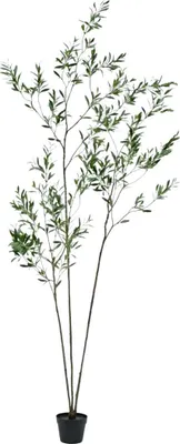 Produktbild von Silk-ka künstliche Zimmerpflanze, olivgrün, 227 cm