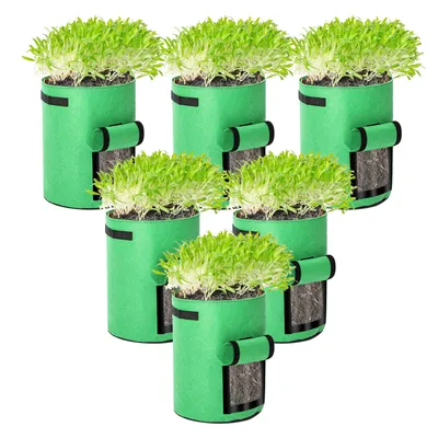 Image de TolleTour Sac de plantation 5X 38L en tissu non tissé, pot de plantation Sac de plantation pour pommes de terre, tomates, fleurs, plantes, légumes, sac à plantes