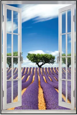 Produktbild von Wallario Wandbild mit Fenster-Illusion: Abstraktes lila Blumenfeld mit Lavendel, Größe: 61 x 91,5 cm, Poster mit schwarzem Aluminiumrahmen