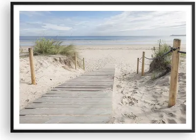 Produktbild von Gerahmtes Poster - Schwarzer Rahmen - Strand Düne Eintritt - 100x70 cm - Wand Bild - Wanddeko - Wandbilder - Kunstposter - Wandposter - Bilderrahmen - Bilder - Kunstdruck - Wandbild - P2BAA100x70-4188