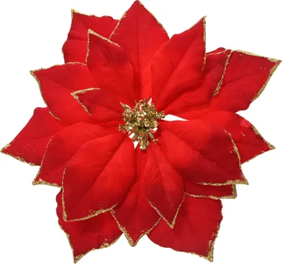 Produktbild von Weihnachtsstern am Clip 24cm 1 Stück Rot / Gold
