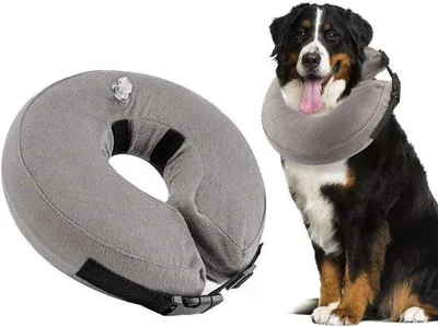 Productafbeelding van Famanu opblaasbare halsband voor honden en katten - Herstelhalsband voor postoperatieve verzorging