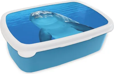Obrázok produktu pre KitchenYeah® Lunchbox Box na desiatu 17x11 cm Delfín - voda - modrý detský box na desiatu - obed - plastový - plechovka na chlieb - sendvičový box - box na desiatu pre deti