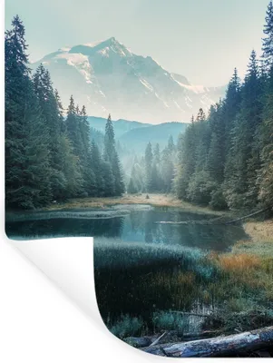 Produktbild von MuchoWow® Wandtattoo Wandsticker Wandaufkleber Wald - Gras - Berge - Bäume - Natur 120x160 cm Selbstklebend und Repositionierbar - Wierderverwendbar - Selbstklebend
