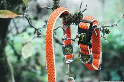 Produktbild von HUNTER Verstellbare Führleine Hilo 20/200, orange
