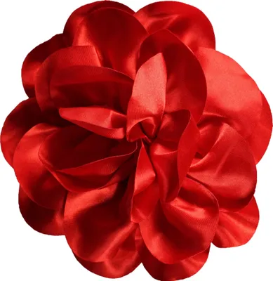 Produktbild von Satinblume rot
