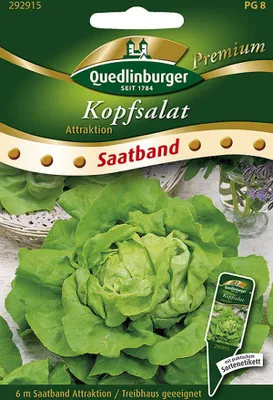Produktbild von Quedlinburger Kopfsalat Attraktion Satband - Premium Gemüsesamen