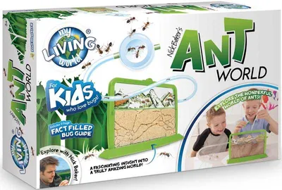 Image de Ferme à fourmis avec gel pour observer les fourmis – Jouet éducatif pour enfants
