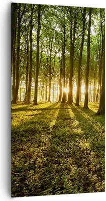 Produktbild von Bild auf Leinwand - Leinwandbild - Wald grün Sonnenstrahlen Natur - 65x120cm - Wand Bild - Wanddeko - Leinwanddruck - Bilder - Kunstdruck - Wanddekoration - Leinwand bilder - Wandkunst - PA65x120-2510