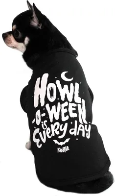 Produktbild von Killstar Hundetop - Howl L