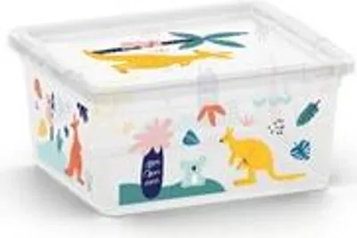 Immagine prodotto di Boxstorage Con Coperchio C Box2L
