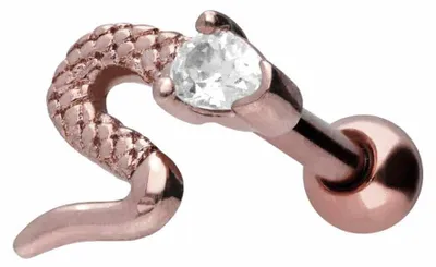 Produktbild von Ohrpiercing Chirurgenstahl Ohrpiercing SCHLANGE + KRISTALL