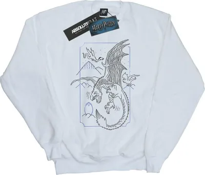 Produktbild von Harry Potter - Sweatshirt für Herren BI27668 (XL) (Weiß)