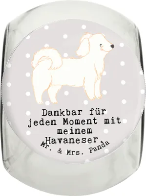 Produktbild von Mr. & Mrs. Panda Dose Havaneser Moment L 870ml - Grau Pastell - Geschenk, Aufbewahrungsdose, Havi, Vorratsglas, Keksdose, schraubglas, Bichón Habanero, aufbewahrungsglas