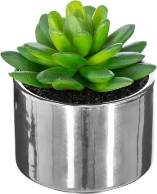 Produktbild von Grünpflanze keramiktopf h.15 - Atmosphera créateur d'intérieur