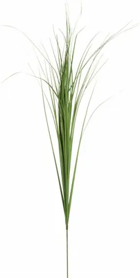 Produktbild von Mica Kunstpflanze Riedgras grün 99 cm