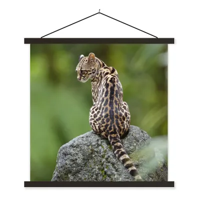 Produktbild von MuchoWow® Textilposter Baumkatze auf Stein 90x90 cm mit schwarzem Rahmen - Magnetisches