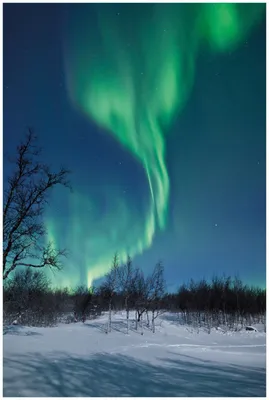 Produktbild von Wallario Premium Glasbild, freischwebende Optik, kräftige Farben, Größe 90 x 60 cm Motiv Polarlicht in Schweden
