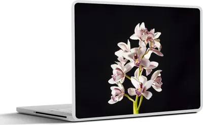 Produktbild von MuchoWow® Laptop Aufkleber Sticker Cover Eine weiße Orchidee vor schwarzem Hintergrund 36.5x27.5 cm - Laptop-Sticker