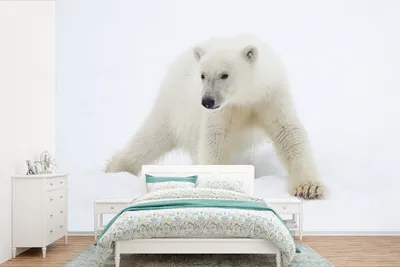 Produktbild von MuchoWow® Fototapete für Wohnzimmer oder Schlafzimmer Wandtapete Vinyl Motivtapete Tiere - Eisbär - Schnee - 525x350 cm - Das Hintergrundbild