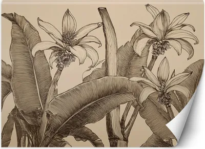 Produktbild von Vlies fototapete Blumen Blätter Beige 150x105 cm Feeby Beige inkl. Kleber einfache Montage