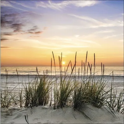 Produktbild von Glasbild Lonely Dune GLA1304 30x30 cm