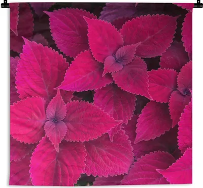 Produktbild von MuchoWow® Wandteppich Wandbehang Blätter - Abstrakt - Muster 90x90 cm Tapisserie Dekoration Wandtuch - Wandaufhänger