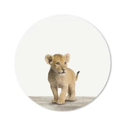 Produktbild von MuchoWow® Mauspad Mousepad Tiere - Löwe - Jungtier 30x30 cm - Mousepads - Maus Mat - Pad - Mausunterlage - Tischunterlage - Schreibtischmatten