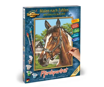 Obrázok produktu pre Schipper 609240381, Obrazy v balení, Chlapec / dievča, Súprava farieb s číslami