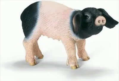 Image de SCHLEICH 13636 Porcelet Schwäb.-Häll