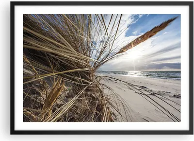 Produktbild von Gerahmtes Poster - Schwarzer Rahmen - Küste Perspektive Gras - 70x50 cm - Wand Bild - Wanddeko - Wandbilder - Kunstposter - Wandposter - Bilderrahmen - Bilder - Kunstdruck - P2BAA70x50-4526