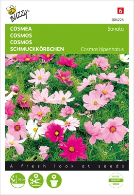 Imagen del producto de Sonata de flores "Schmuckkörbchen" | Semillas de "Schmuckkörbchen" de Buzzy Seeds