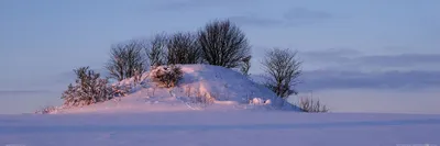 Zdjęcie produktu dla Zimowy obraz z nadrukiem - Scheelandschaft In Schimmerndem Winterlicht (30 x 91 cm)