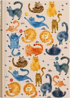 Immagine prodotto di Quaderno a righe A5 laminato Gatti