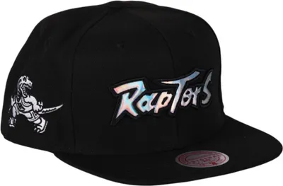Productafbeelding van Mitchell en Ness pet Toronto Raptors Mitchell & Ness