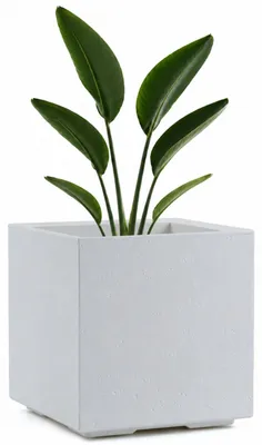 Immagine prodotto di HowHomely: Vaso da fiori grande su ruote, color crema, 40x40x40 cm, aspetto in cemento, fioriera
